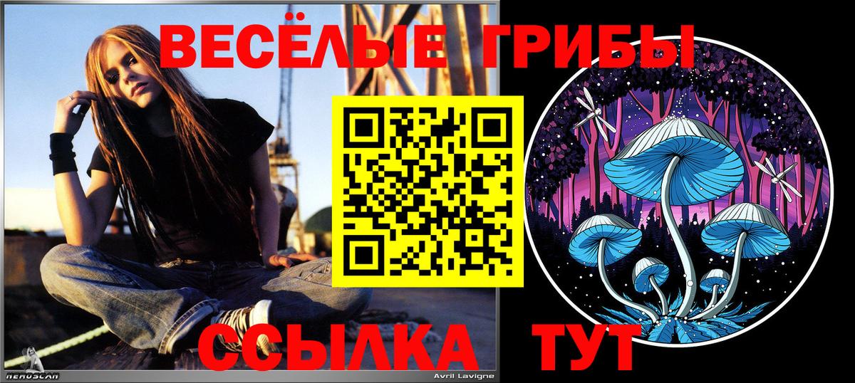 где можно купить   Вход с VPN  Нефтекамск  Галлюциногенные грибы Magic Shrooms 